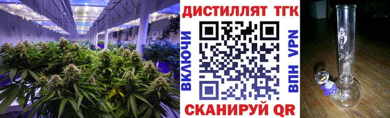 Купить  Тотьма  ТГК THC oil 