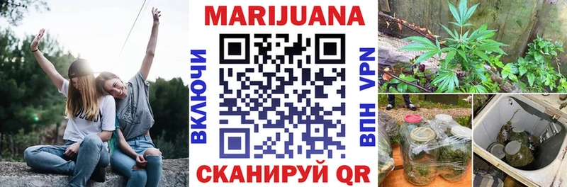 Канабис сатива Тотьма
